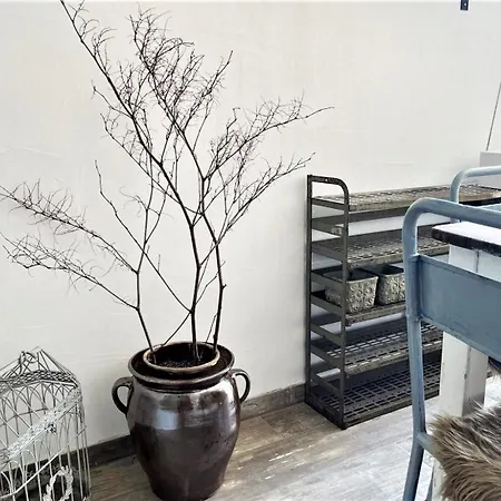 Gribertshaus Apartman