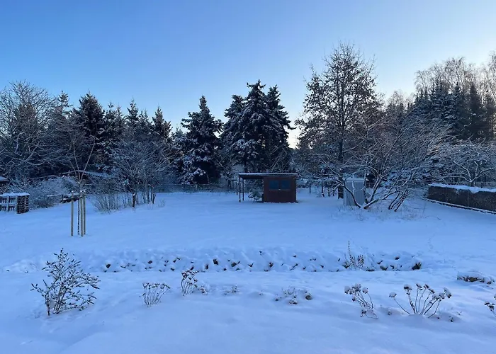 Gribertshaus Апартаменты *