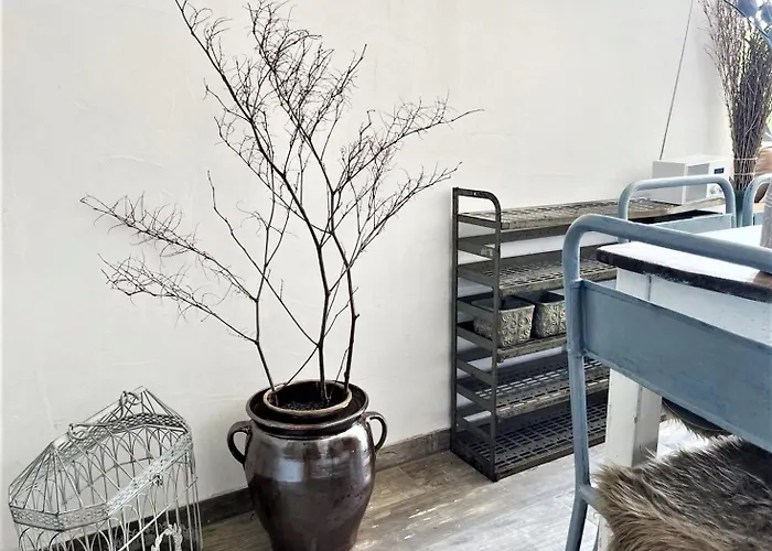 Gribertshaus Апартаменты